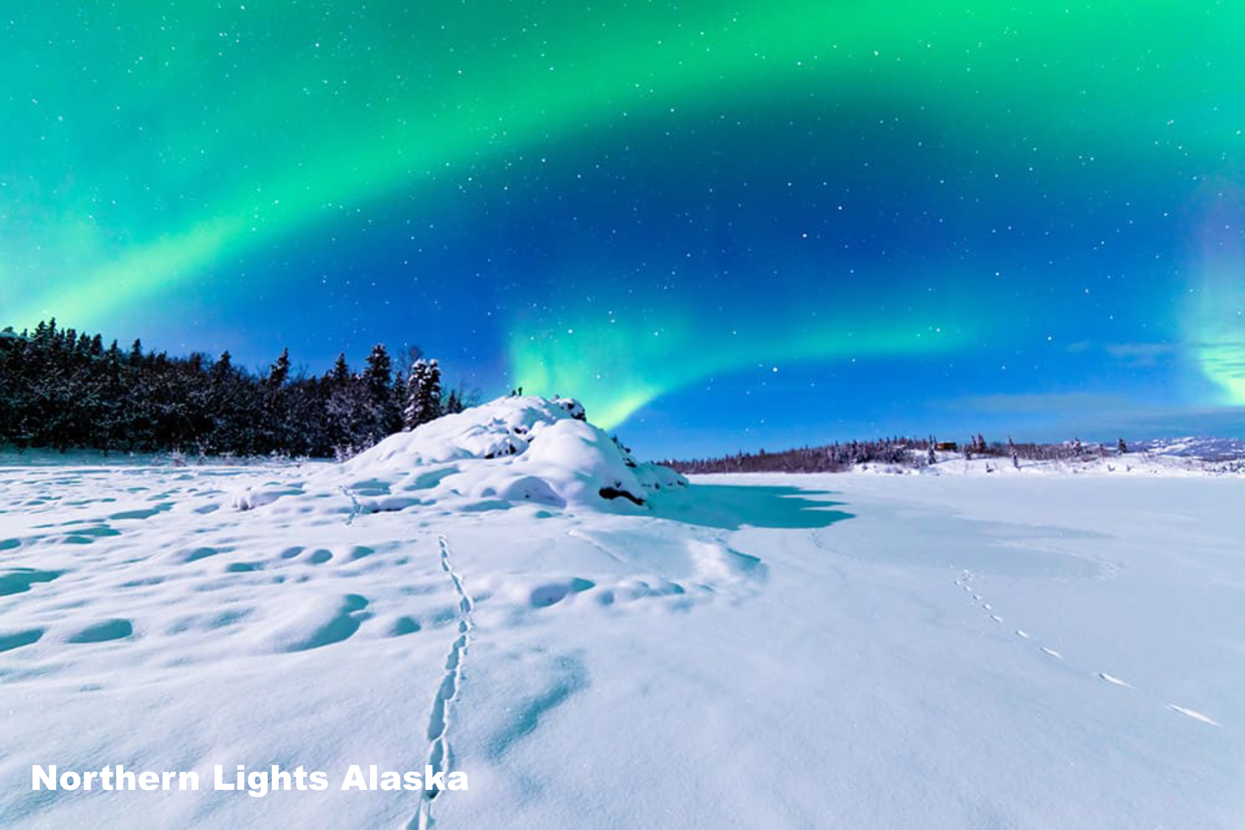 4 Norwegian Aurora Polaris northern lights alaska